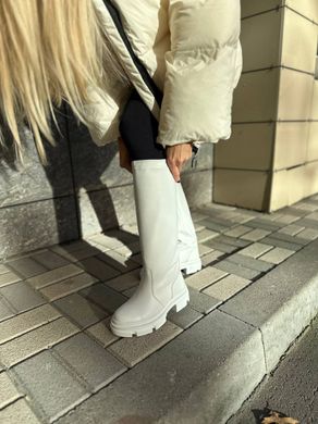 Сапоги женские кожаные белого цвета демисезонные, 41, 26