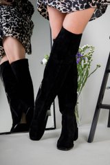 Ботфорты женские замшевые черные на каблуке зимние, 40, 26-26.5