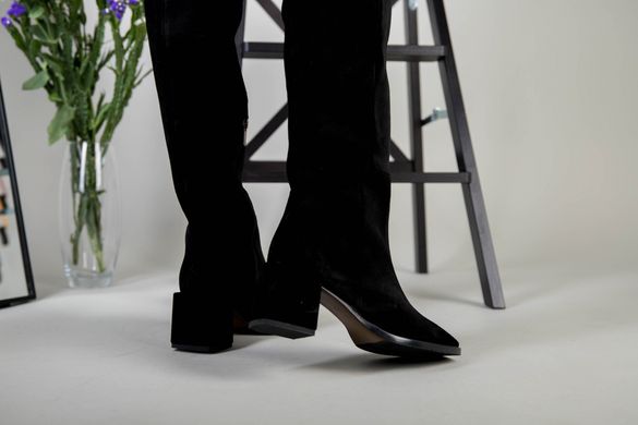 Ботфорты женские замшевые черные на каблуке зимние, 40, 26-26.5