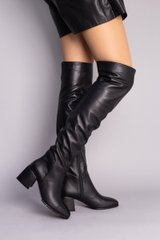 Ботфорты женские кожаные черные на небольшом каблуке демисезонные, 40, 26