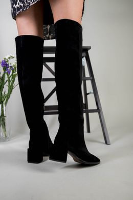 Ботфорты женские замшевые черные на каблуке демисезонные, 40, 26-26.5