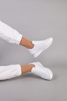 Кроссовки женские кожаные белые с перфорацией, 36, 23.5