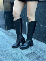 Сапоги женские кожаные черного цвета на каблуке демисезонные, 41, 26.5