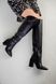 Ботфорты женские кожаные черные зимние на каблуке, 40, 26-26.5
