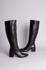 Сапоги женские кожаные черные на каблуке демисезонные, 41, 26.5-27