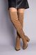 Ботфорты женские замшевые темно-бежевого цвета на каблуке зимние, 40, 26