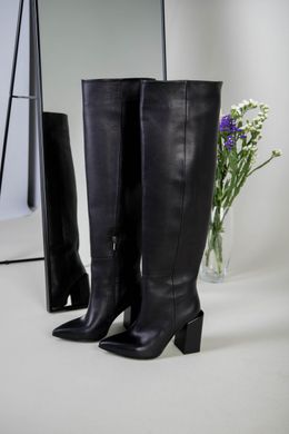 Ботфорты женские кожаные черные демисезонные на каблуке, 40, 26-26.5